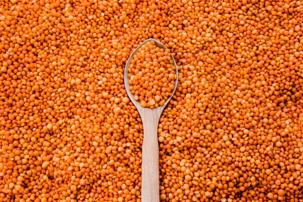 soupe de lentilles corail 0