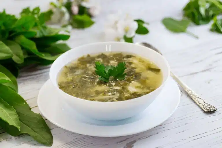 soupe a loseille 1